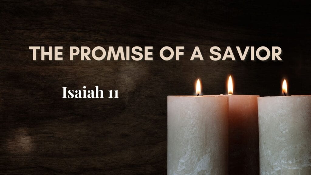 The Promise of a Savior Sermon Graphic